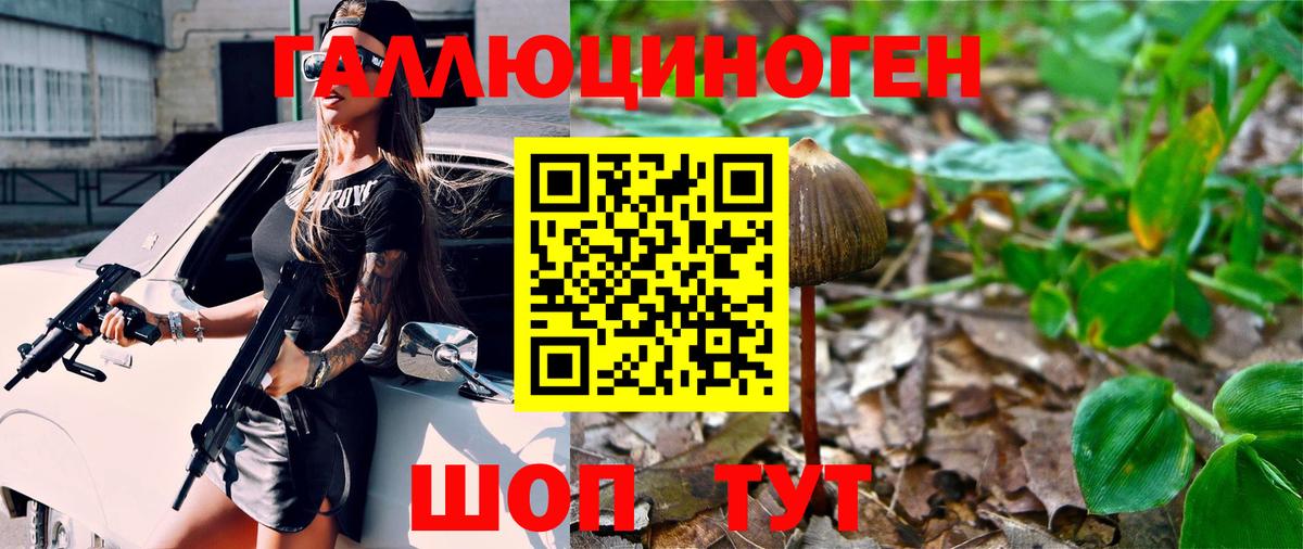 Галлюциногенные грибы MAGIC MUSHROOMS  Вход с VPN  Камень-на-Оби 