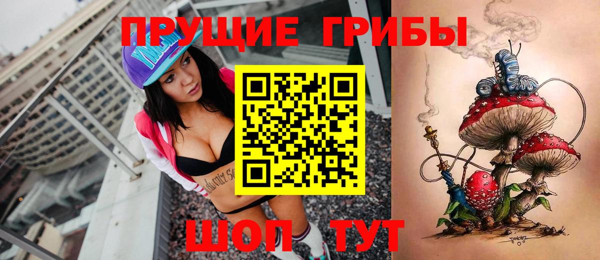Псилоцибиновые грибы MAGIC MUSHROOMS Камень-на-Оби